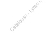 Catelouso - Lyrae Cantus: "Sinaxis" CD